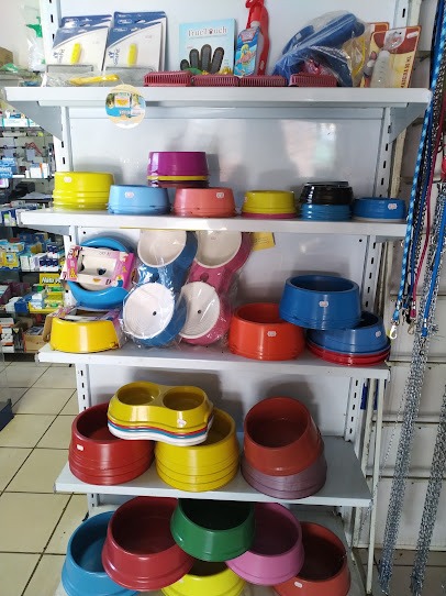 Comedouros e acessórios coloridos para pets